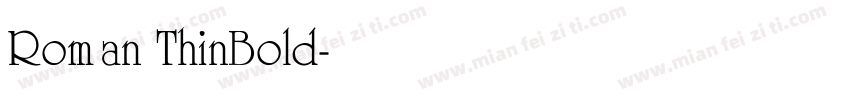 Roman ThinBold字体转换
